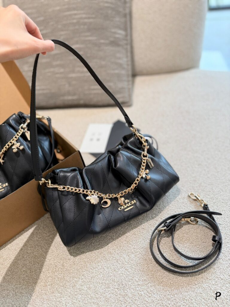 Coach Evelyn34 Black Crossbody Bag 24 x 20 cm editorial product context 2