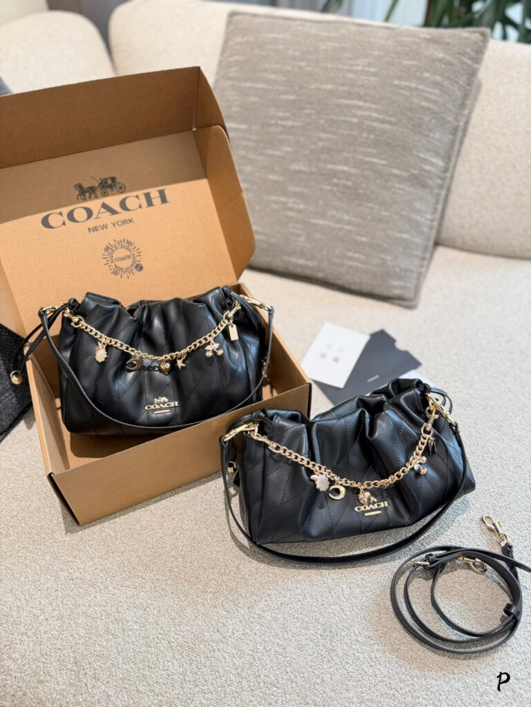 Coach Evelyn34 Black Crossbody Bag 24 x 20 cm editorial product context 1