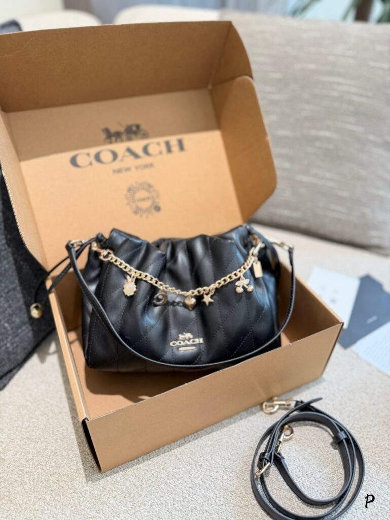 Coach Evelyn34 Black Crossbody Bag 24 x 20 cm editorial product context 3