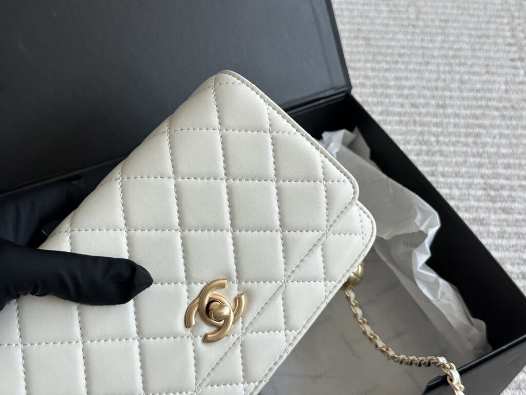 Designer 135 20 WOC Material Calfskin Hardware Clutch 1.9 x editorial product context 2