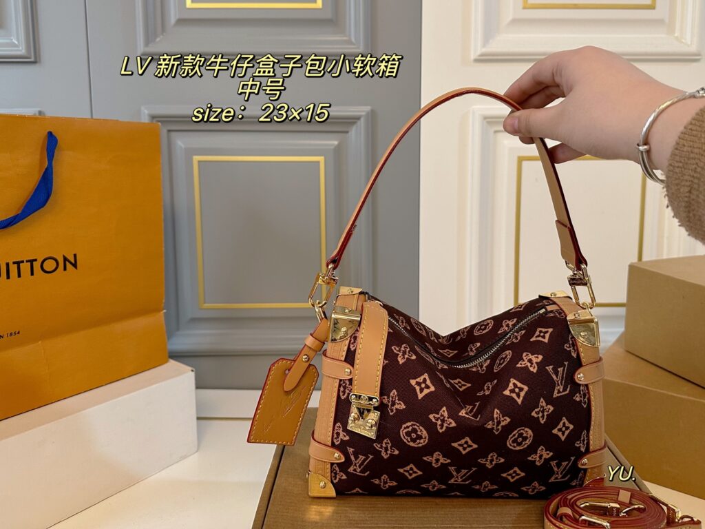 Louis Vuitton Side Trunk Medium Bag 23 x 15 cm editorial product context 1