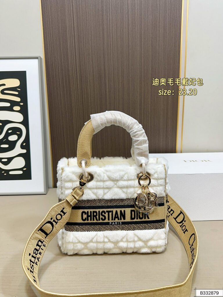 Dior Includes Bo Bag editorial product context 1