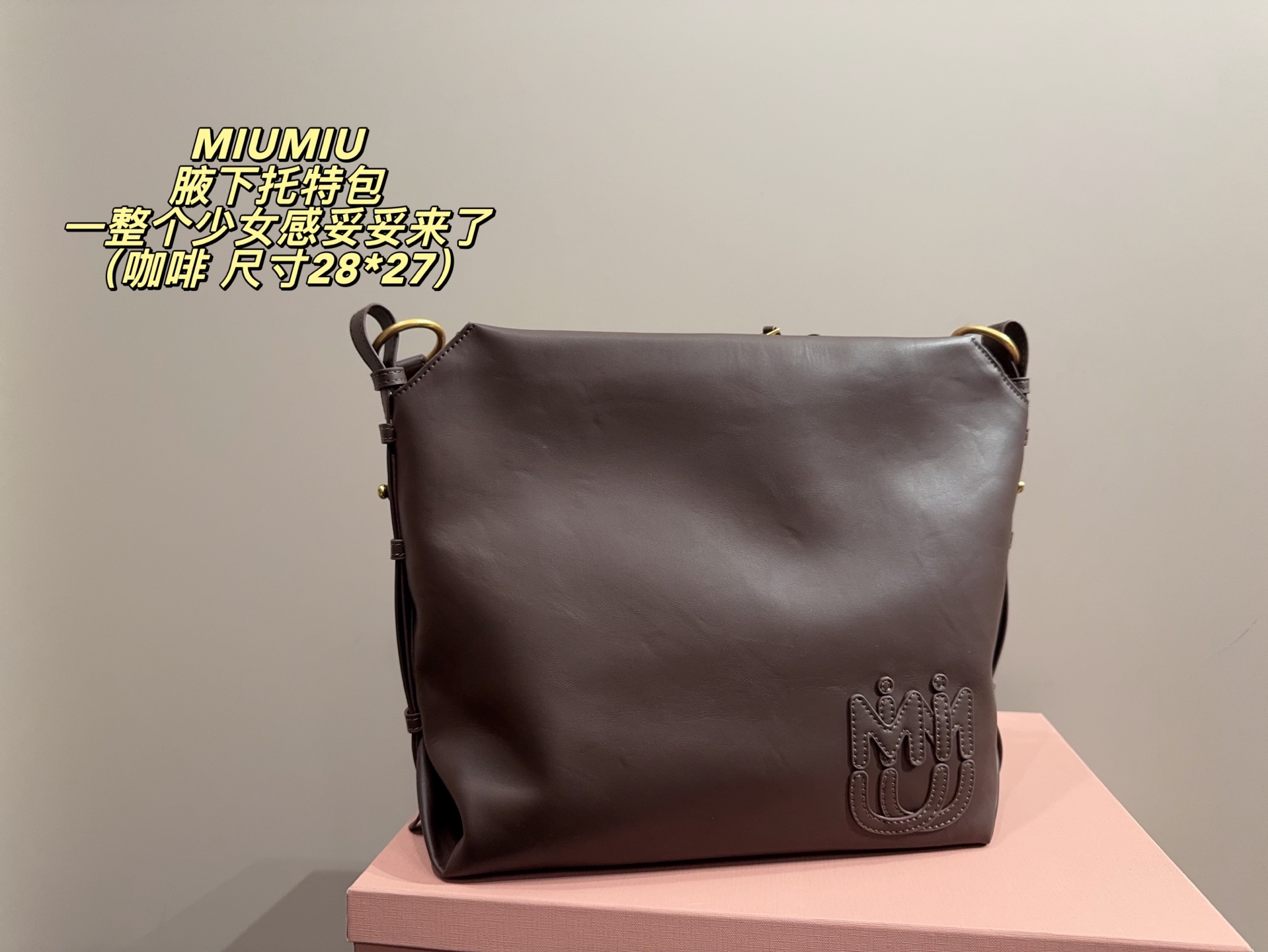 Miu Miu P170 28 27 DIY Tote Bag