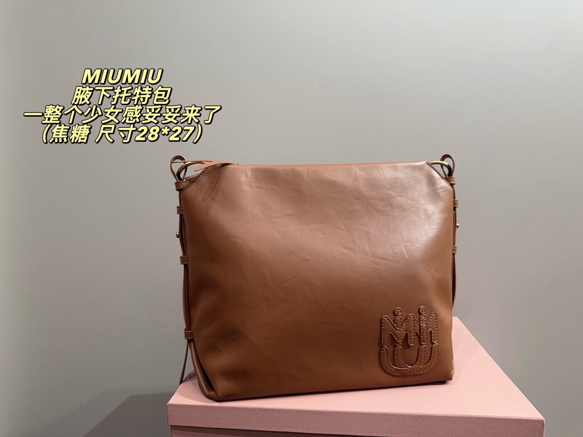 Miu Miu P170 28 27 DIY Tote Bag