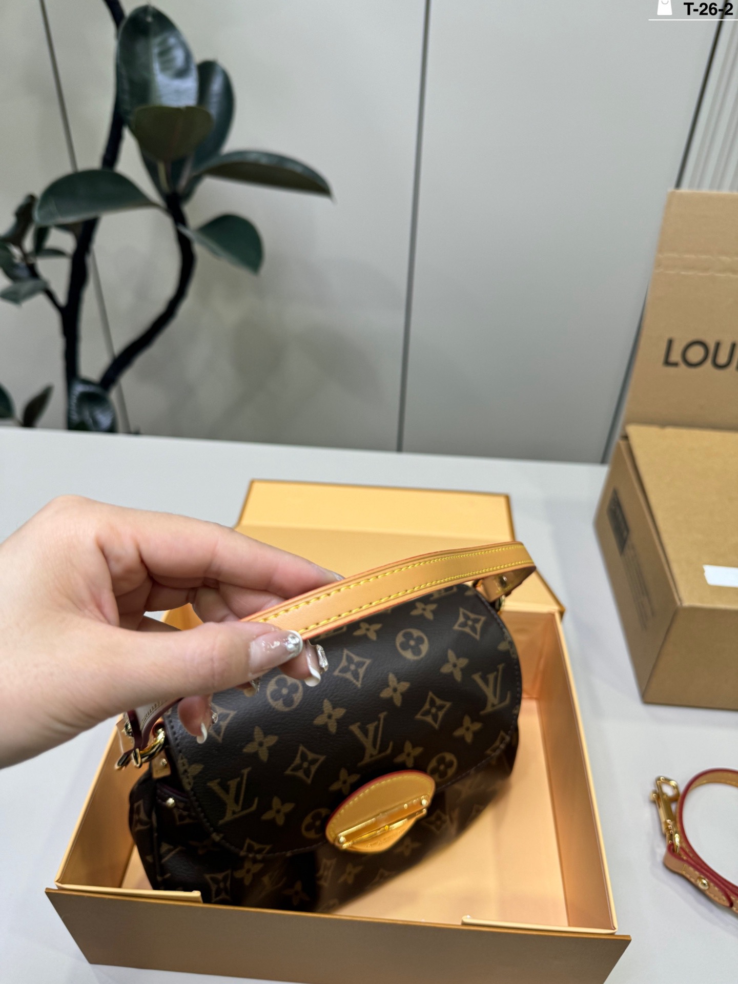 Louis Vuitton p135 26 24 16 Sunset vibe Bags 24