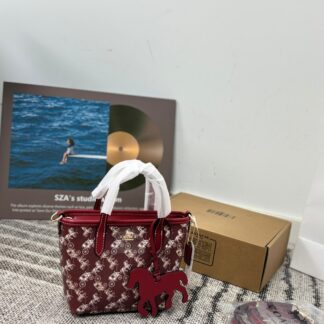 Coach p135 17 14 City15 Signature OK Mini Tote Bag