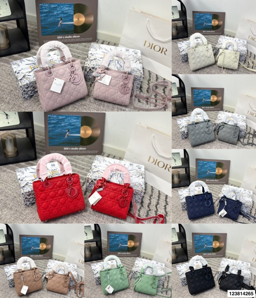 Dior Dior Lady Bag editorial product context 1