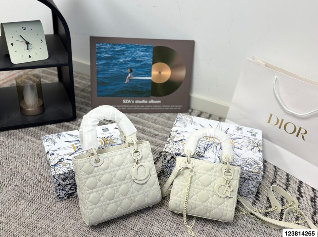Dior Dior Lady Bag editorial product context 2