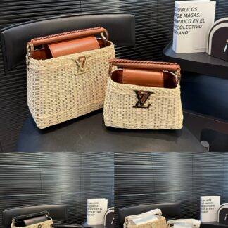 Louis Vuitton P150 P145 capucines 1892 Picnic 26 19 21 13 8807 Mini Handbag