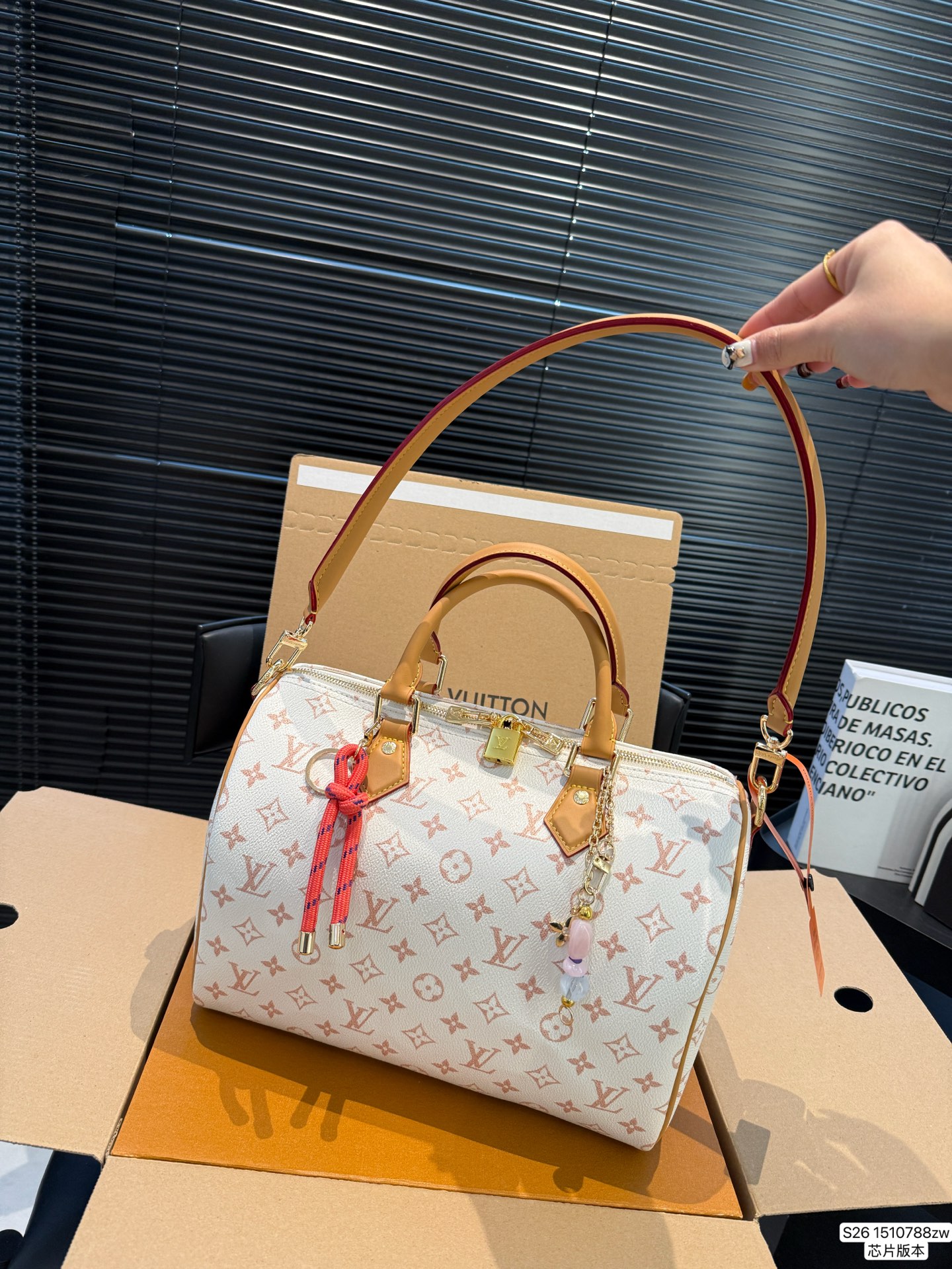Louis Vuitton P165 30 21 Bag