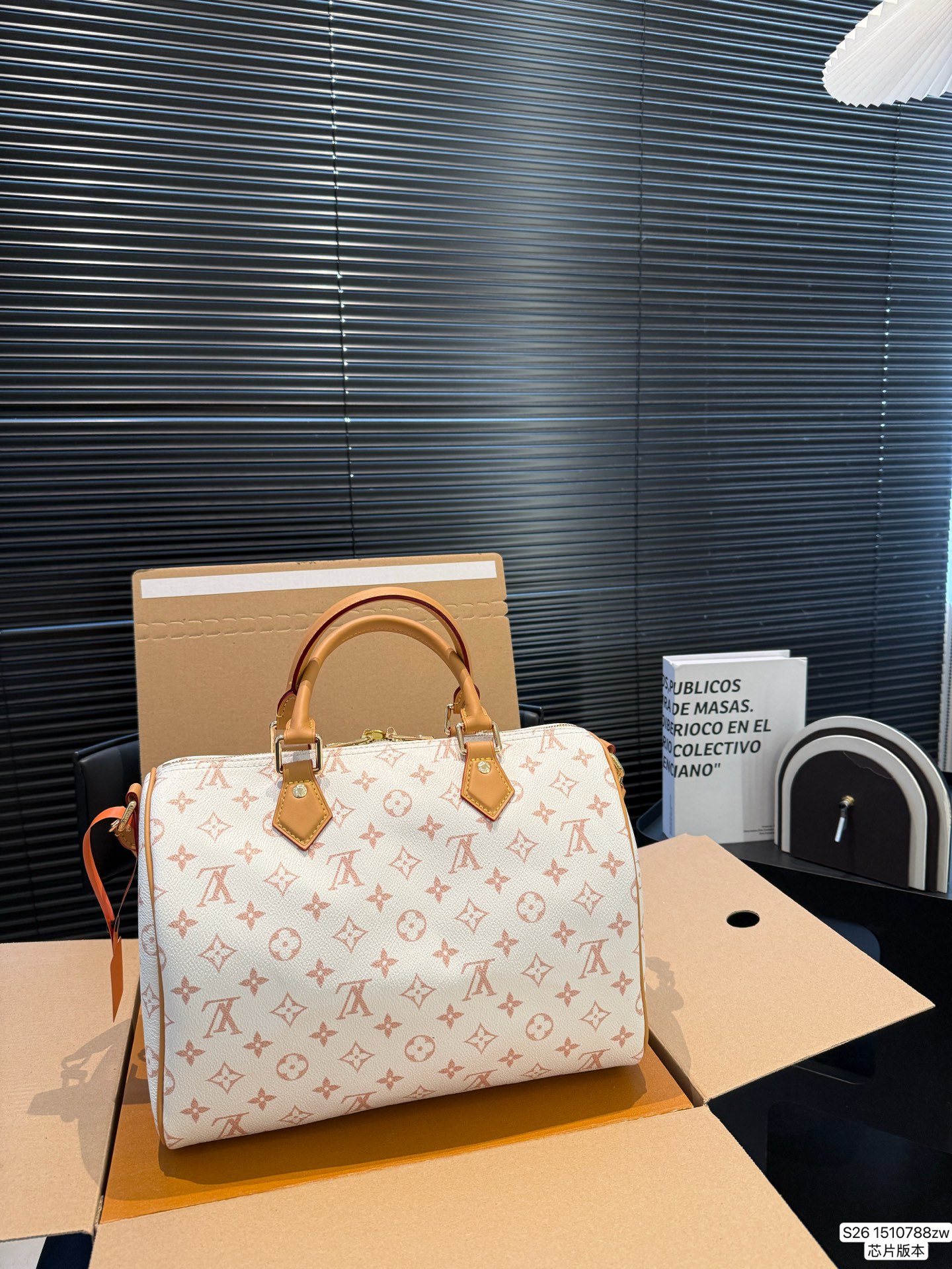 Louis Vuitton P165 30 21 Bag