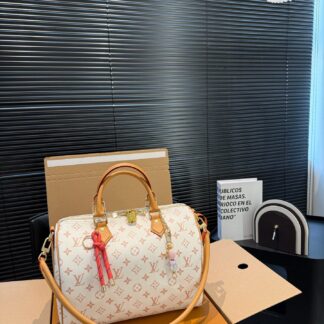 Louis Vuitton P165 30 21 Bag