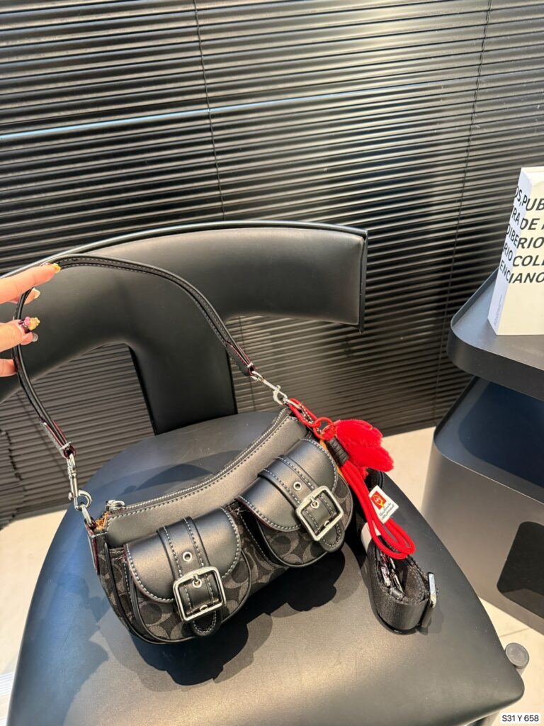 Coach Ashton25 Cool Coach2 Ashton 24 Bag editorial product context 1