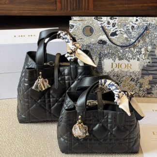 Dior Toujours Calfskin P220 P225 Handbag 20 cm