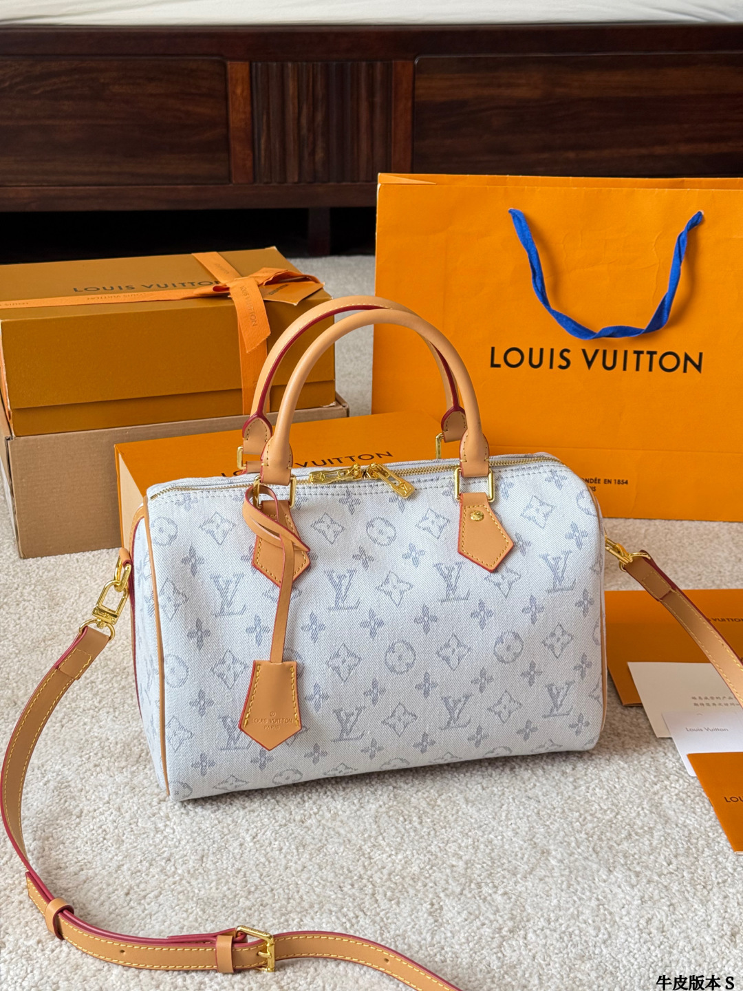 Louis Vuitton p165 Nano Speedy 30 Retiro Handbag