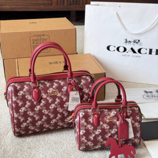Coach p155 p145 mini Rowan YKK 25 Bags
