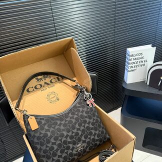 Coach P155 P145 29 21 20 14 Bags Mini