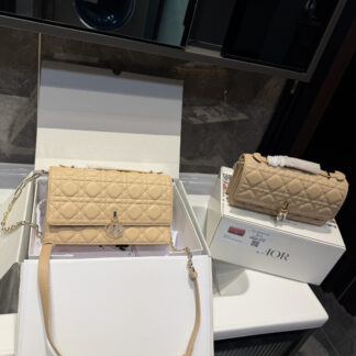 Dior p170p165 Miss WOC 24 14 21 Bags 24 x