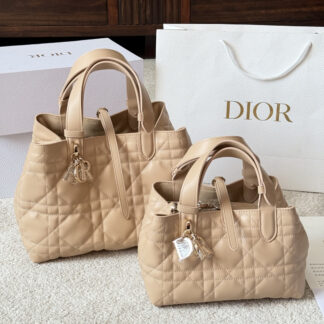 Dior p225 p220 toujours 30 22 Bag 20 cm