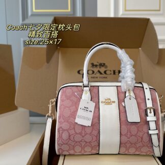 Coach P130 25 17 Bag 25 x 17 cm