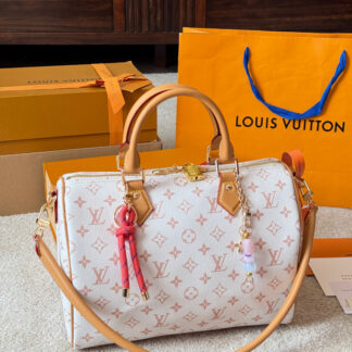 Louis Vuitton p170 Nano Speedy 30 Retiro Handbag