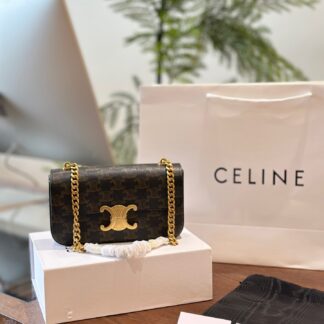 Celine p140 AVA Triomphe 20 10 IN Backpack