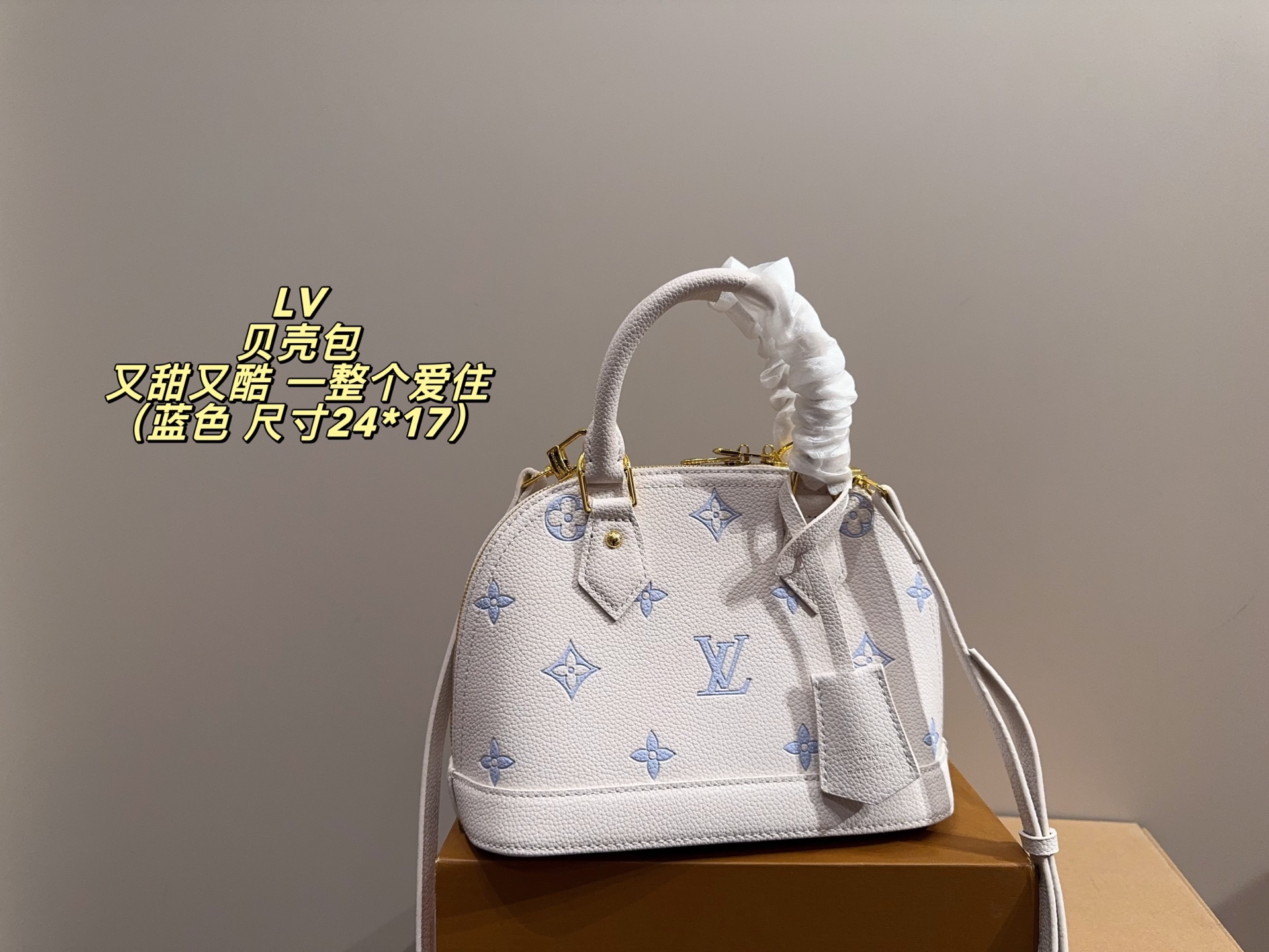 Louis Vuitton 24 17 Bag 24 x 17 cm