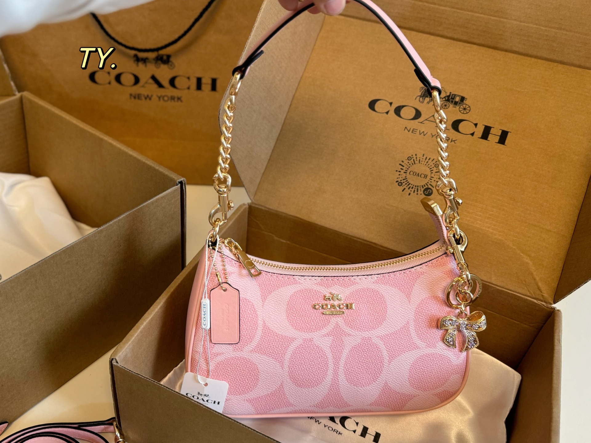 Coach size 23 13 Teri Crossbody Bag