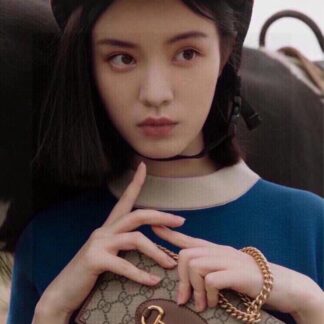 Gucci Horsebit 1955 Shoulder Bag