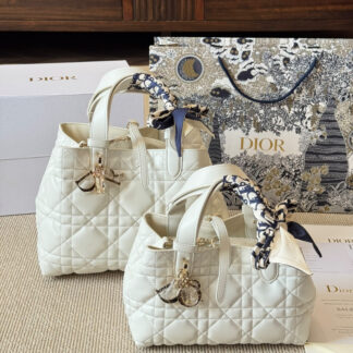 Dior Toujours Handbag Small