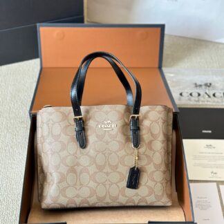 Coach Mollie 25 Logo IN Wallet 20 cm