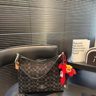 Coach P145 P135 29 21 19 14 Bags Small