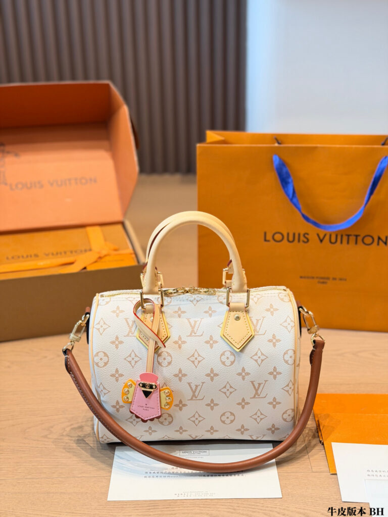 Louis Vuitton Bag editorial product context 3