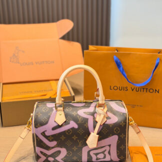 Louis Vuitton Leather Bag