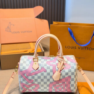 Louis Vuitton Leather Bag