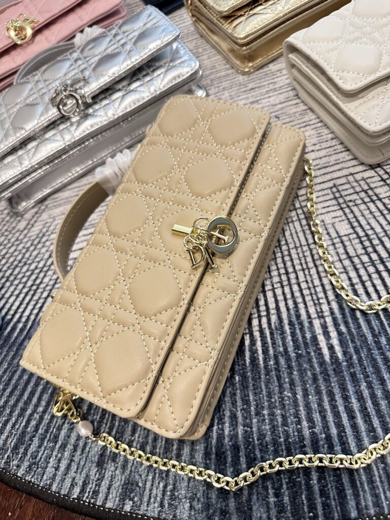 Dior Leather Clutch editorial product context 3