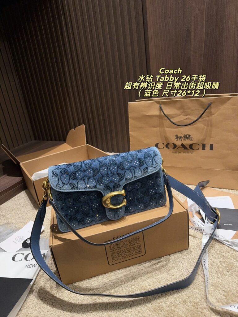 Coach Bag editorial product context 3