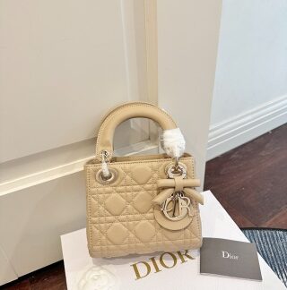 Dior Bag