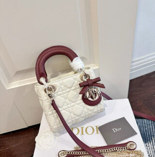 Dior Bag